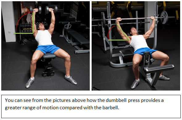 barbell and dumbbell range of motion